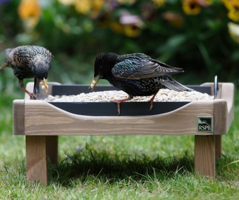 RSPB ground bird feeding table.jpg